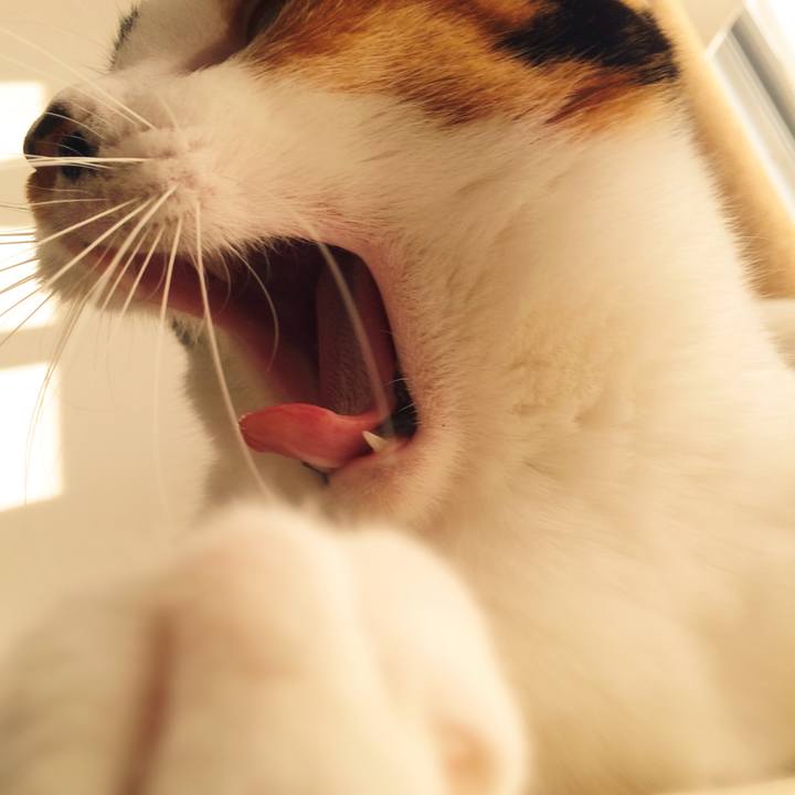 Fc8137b2 0d71 447b 8f55 d594d5418d3d