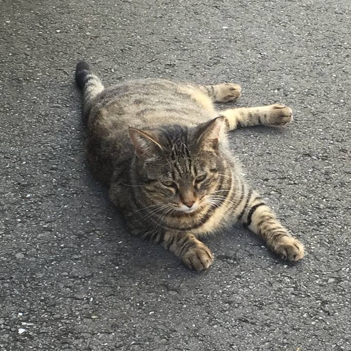 Fc8190c7 564f 43df 8ad7 7822dcf8fcf2