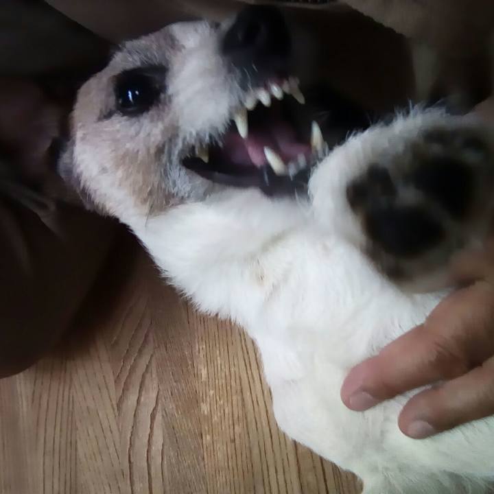 Fc826af6 4521 4678 a398 49eaa4b63e6f