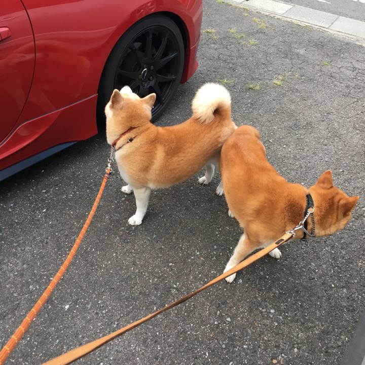 Fc82e575 1e81 42f5 851d 068fb84d41c1