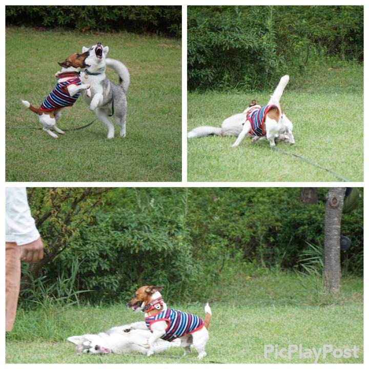 Fc82f13d 713f 4cae b2b9 2840de0f2b37