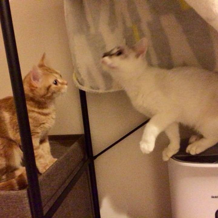 Fc830d52 1b5a 4198 9908 0a89f3ab4f5a