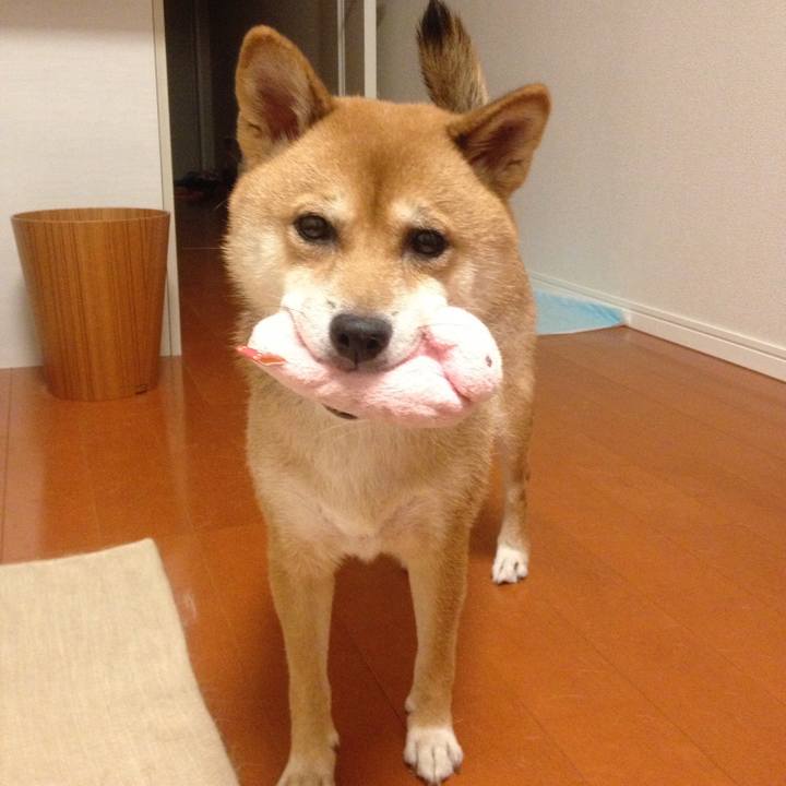 Fc83ce3b a8f3 4cff 938b 78b046e3f78c