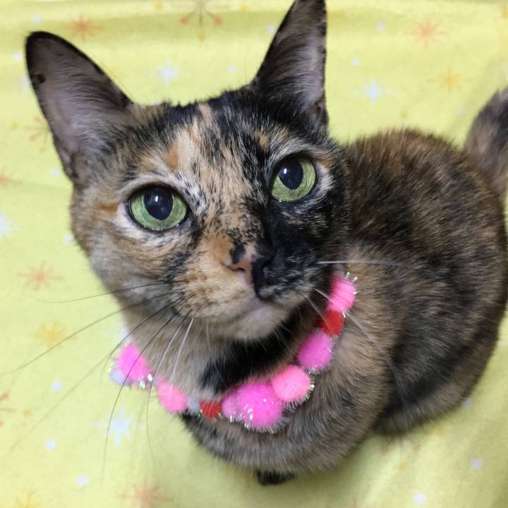 Fc84597b de16 42e9 8ec2 f0125d711d64