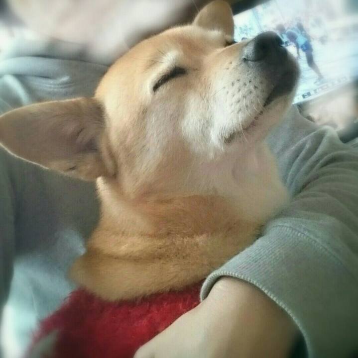 Fc846da3 78ec 455a 86b5 b5566b0fd94b