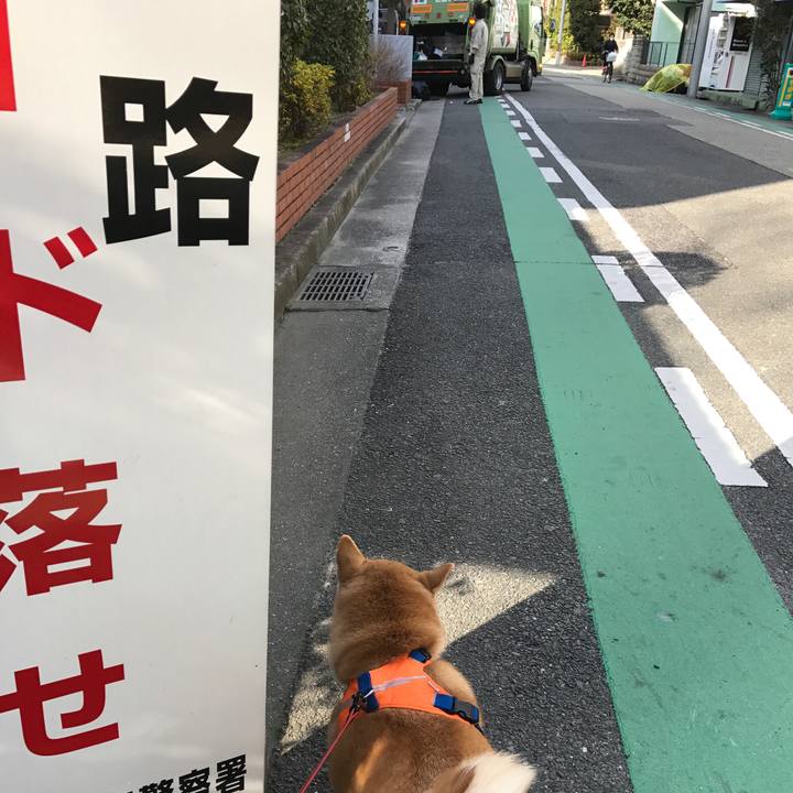 Fc848589 5a33 402c b410 db0cc226e506