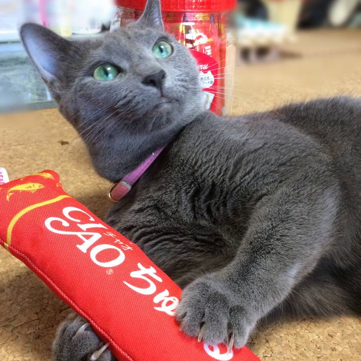 Fc851b24 700e 4a95 8677 57d91b7dd9a2