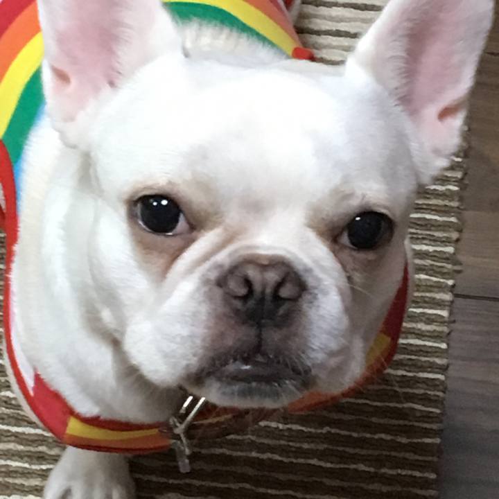 Fc854f57 ebd1 412f 974f 2fd61eae2536