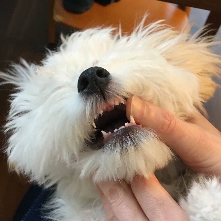 Fc858c8e b658 42fb a3ab a3aa10a691f3