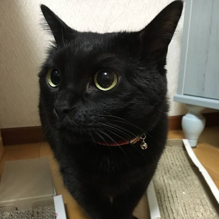 Fc86730c 7e76 440f 9025 4c855b83613f