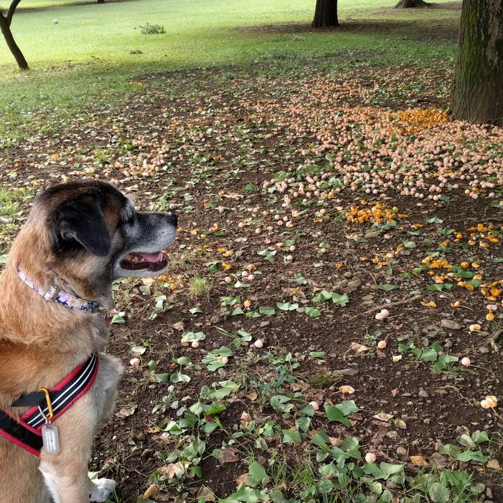 Fc873a92 7760 457d 9320 ee117e5c89eb