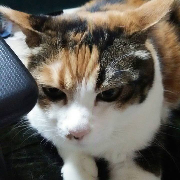 Fc884f57 4eb3 4a21 8010 96c7567065fc