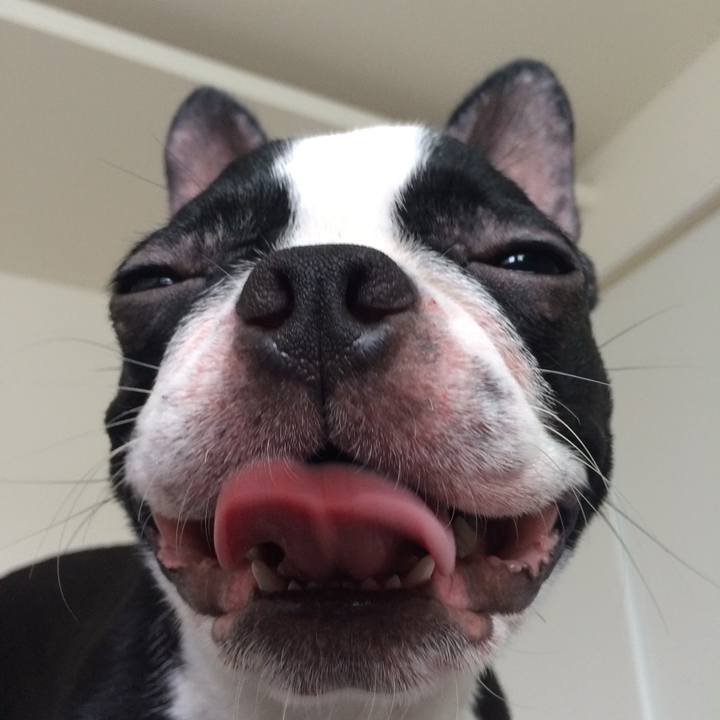 Fc886685 3e5b 4d28 a523 998fc131a2ff