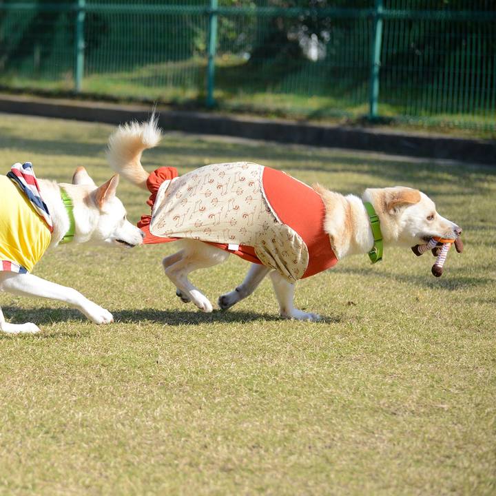 Fc88fbfb 474a 4712 b3bb 30329f603d2d