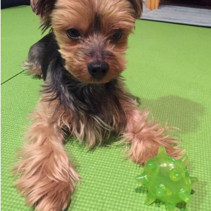 Fc89320e 6bc8 4f3f 846c 048b8d4fa04e