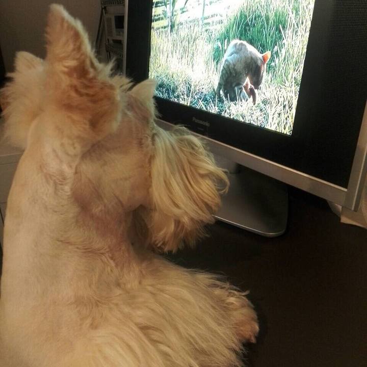 Fc894104 9375 41f7 b53b b1164d2ab910