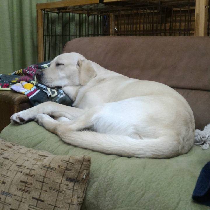 Fc894b35 873e 4c90 8bfa 94281d926f59