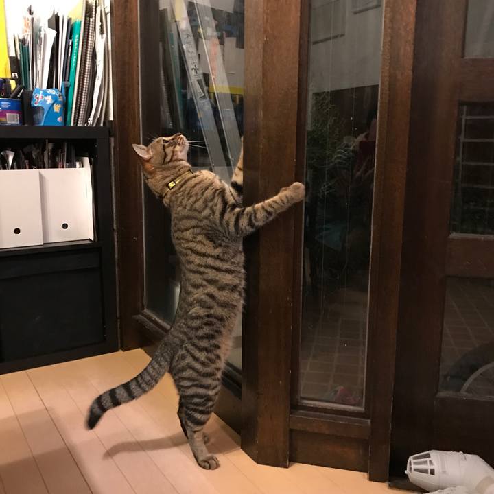 Fc899ed6 fd29 4a00 8401 897f19e5f4e5