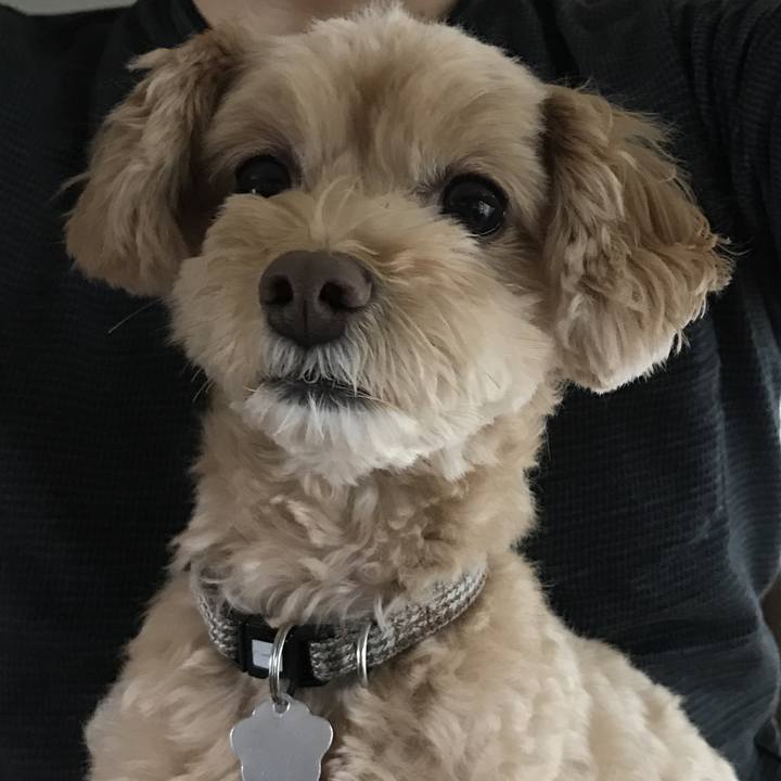 Fc89acac 569e 48f1 8216 0622520ef4bb