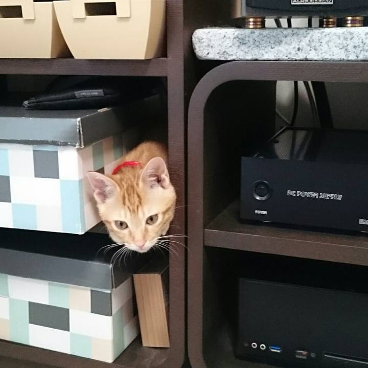 Fc89d97d 5706 420d 8584 3feb9dc4401c