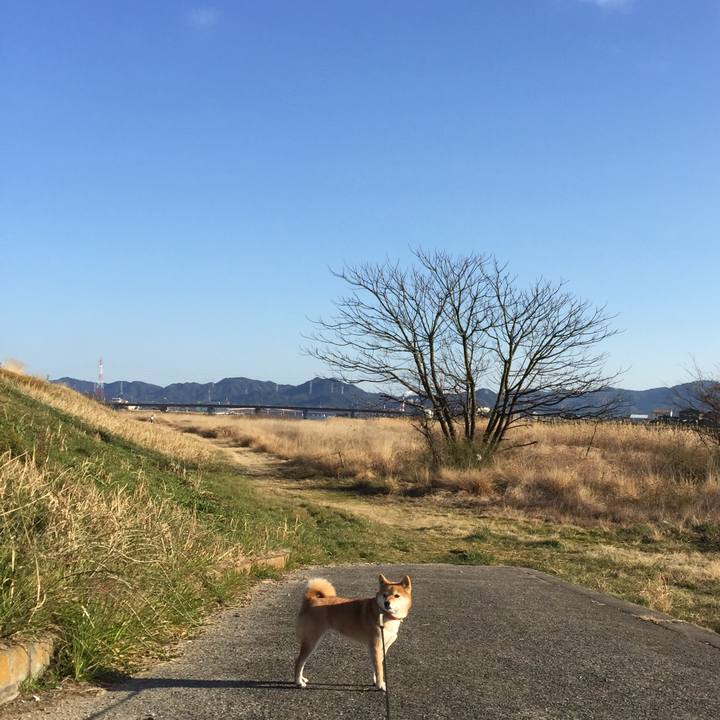 Fc89e662 072a 4815 bb74 eff3d8120e38