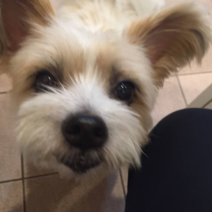 Fc8a7829 8c02 4f2d 8690 61b4d3335142