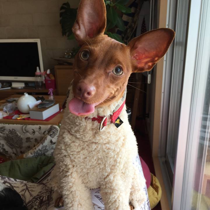 Fc8a83b8 0958 4d82 b122 eadce5b145a1