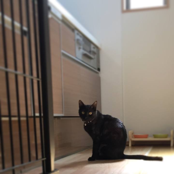 Fc8a98c5 da33 4479 88c0 39d7d30d22dc