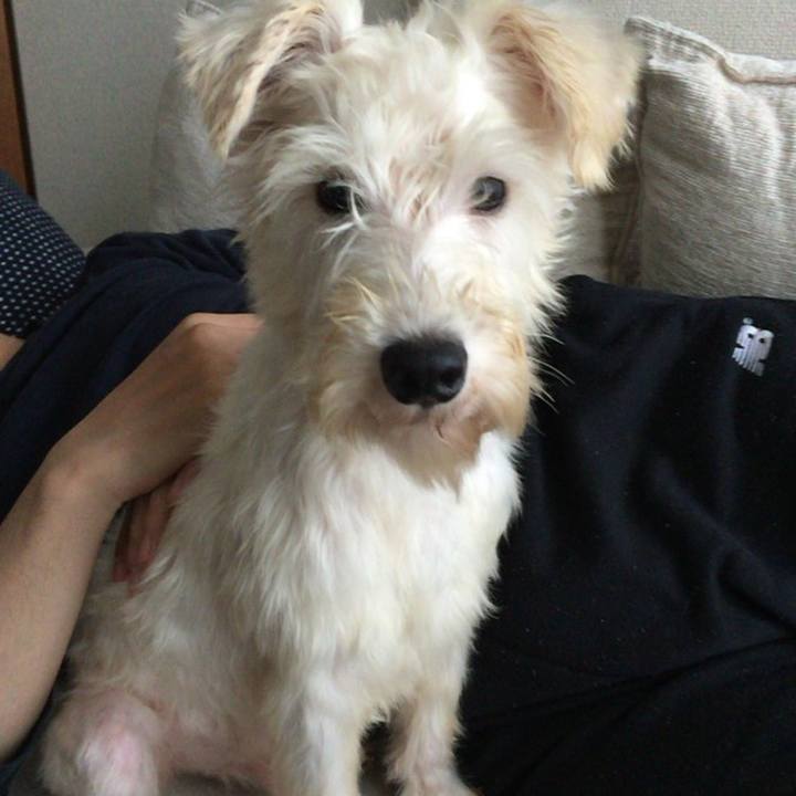 Fc8b7d6b fa43 4c88 8a2c 7727febffc71