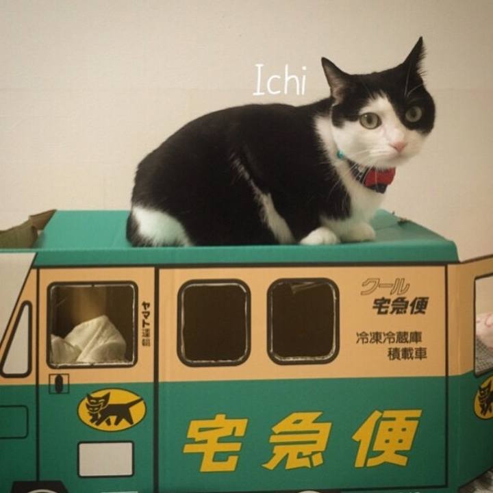 Fc8c6b6e 7bf8 43b9 9d77 facecc9ee236