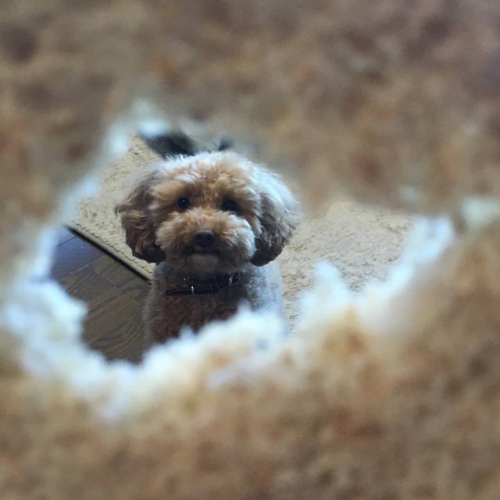 Fc8c77d7 6f0d 4eed 9c7c 713e5df21e22