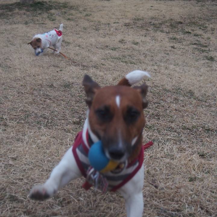 Fc8c7a6a 63e1 40a0 9915 06f3f4e41047