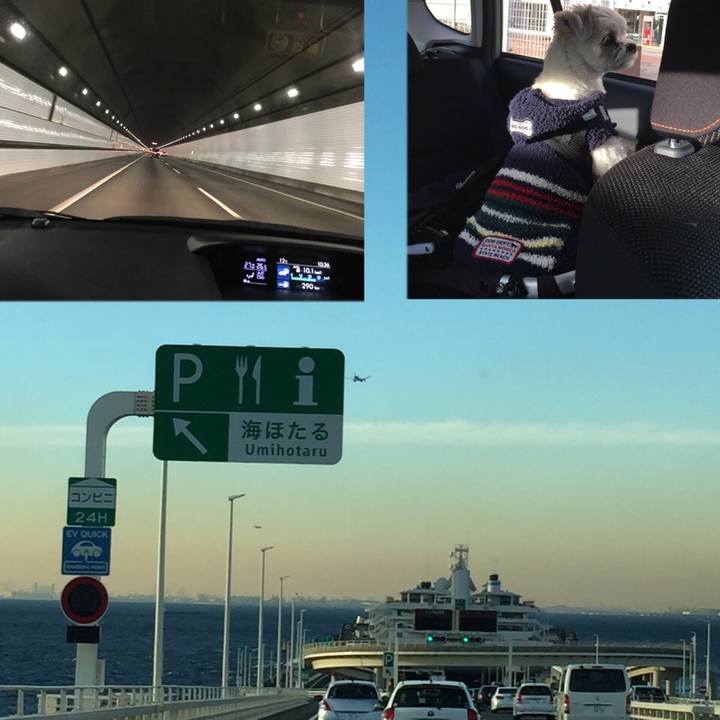 Fc8d1cf4 75f2 4224 8c5f 31f10f16fe37