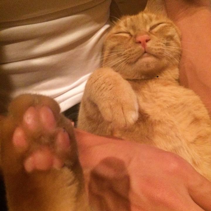 Fc8d8915 16c7 4e0f 9d7d c9c48ce68466