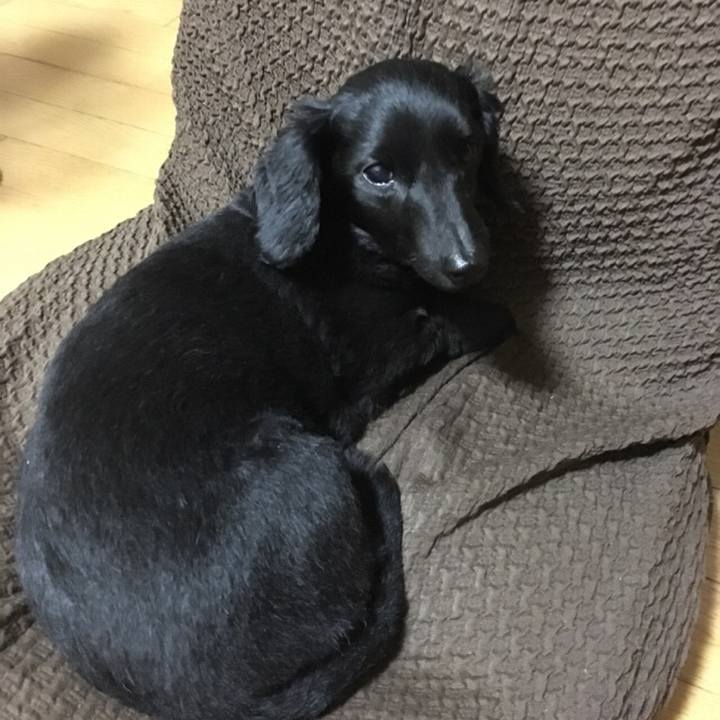 Fc8e0e22 828e 4819 994e fbf069c0e910