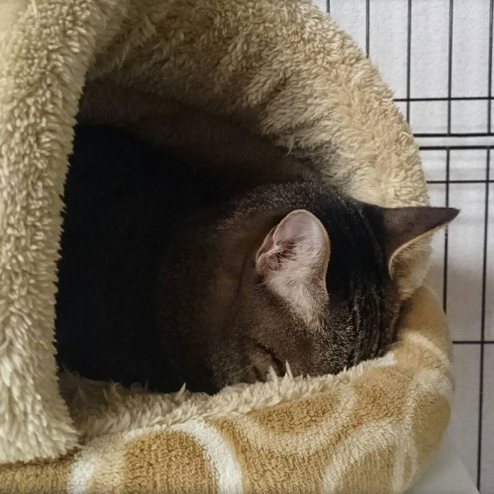 Fc8ebdbd 165f 4072 a5bc d495c801fba0