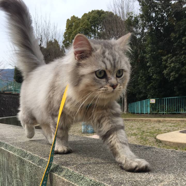 Fc8f3f66 2279 4895 9602 e0157f9aaaa5