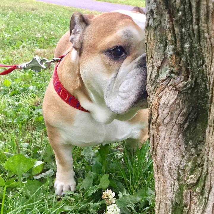 Fc8f47e3 62ab 4bf6 885c b200c7fc230b