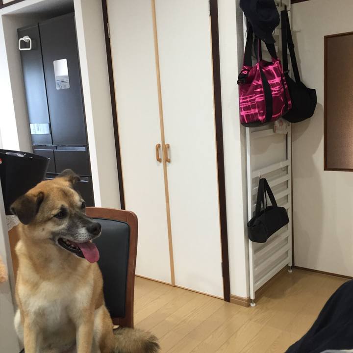 Fc8f6764 f61d 4f0d a3b8 1ebcf8a97171