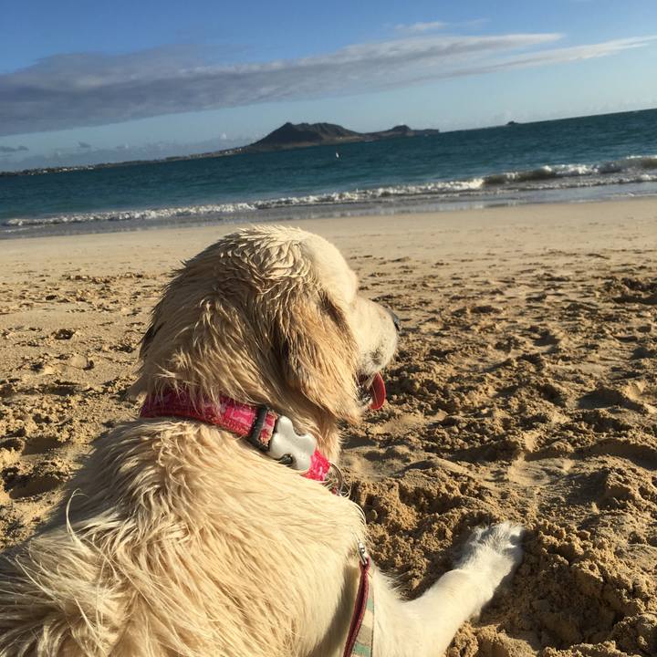 Fc8fe07f e3a5 43a4 9fbe 9edd9b7527b0