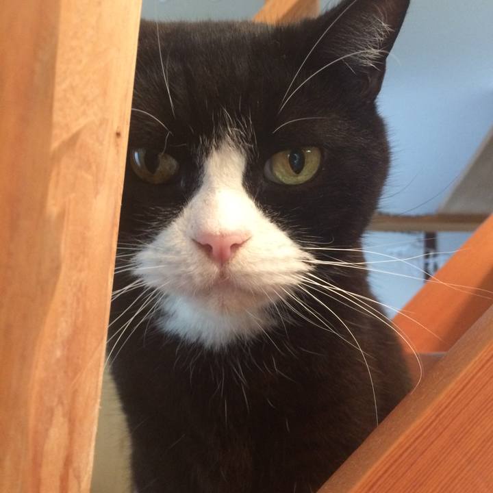 Fc903c94 fbc2 488c a870 248c7bbe2ec7