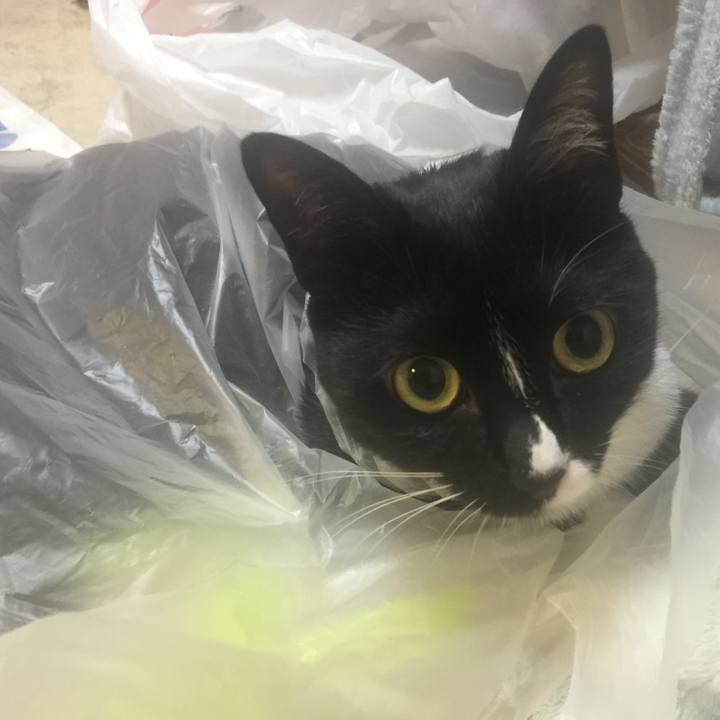 Fc906665 e09b 47a1 b76a 97e94c88dbf9