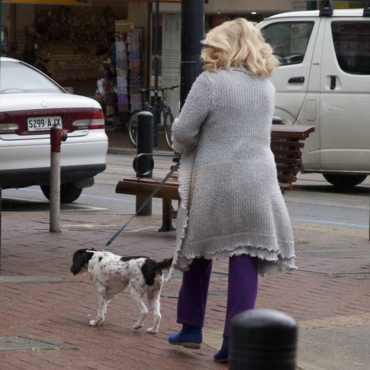 Fc906cab dae9 4395 a463 2f0d0219a280