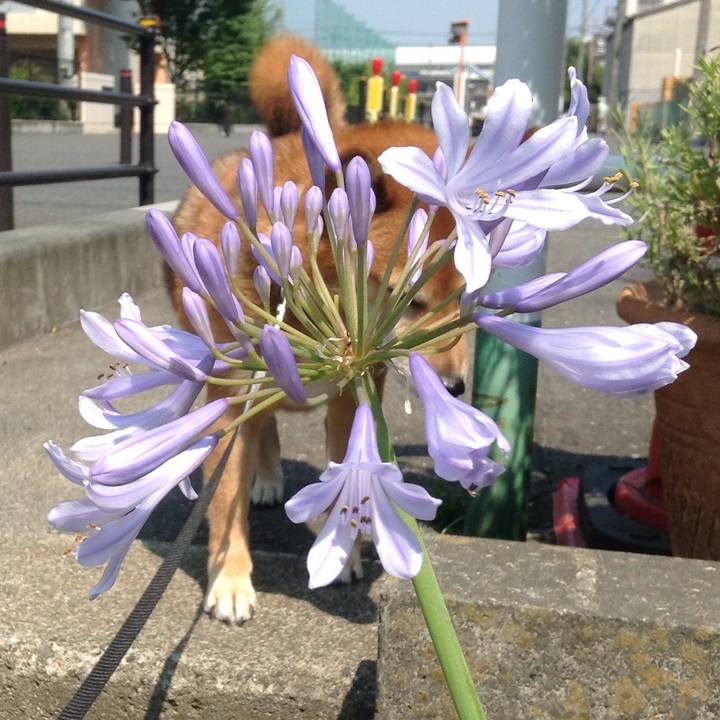 Fc90f44b ee45 466c 8121 0f2c20a6afcc