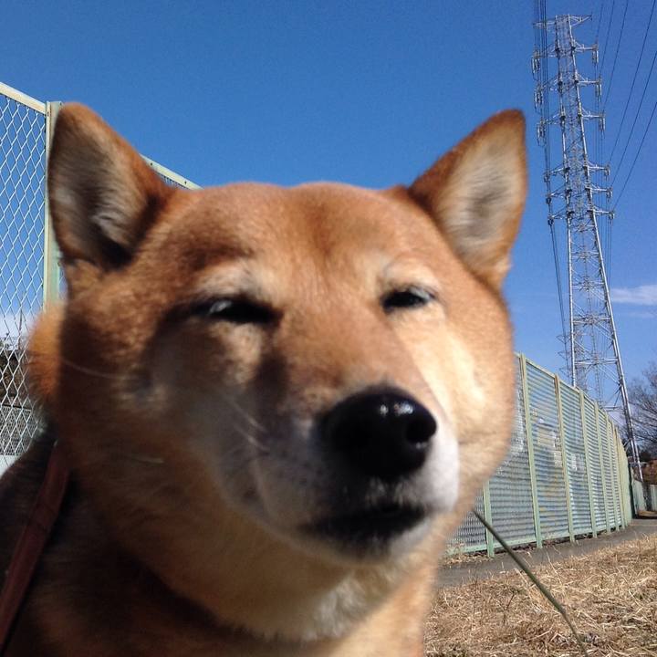 Fc915d27 5290 4b17 b1ce 0e673633d7f9