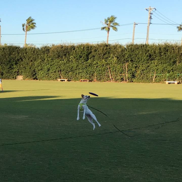 Fc9190ff c435 4750 8e0f 1fe10d797fff