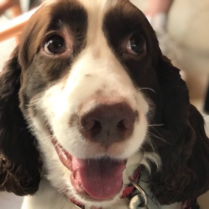 Fc9247b5 c00e 40ad 88bb 3b3c9c2c7063