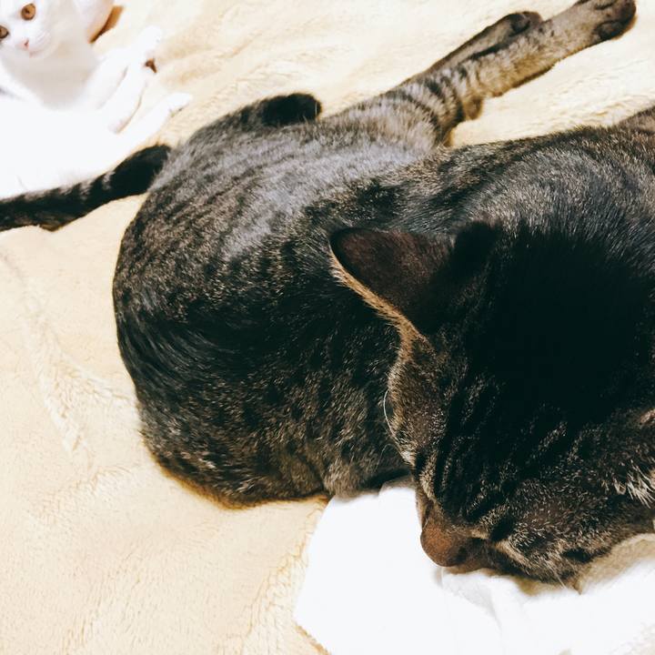 Fc927471 69ce 4bfc a366 4f772d019376