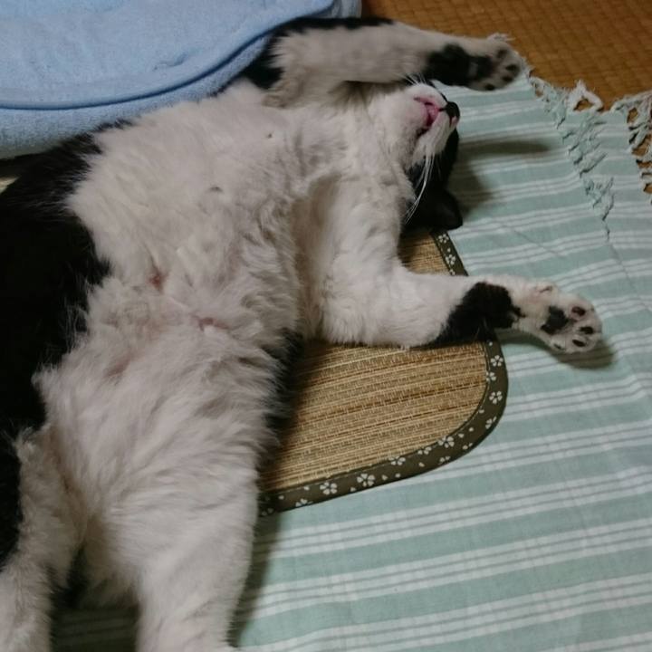 Fc9325f5 ac8a 46da 941a b70458fdb4f5