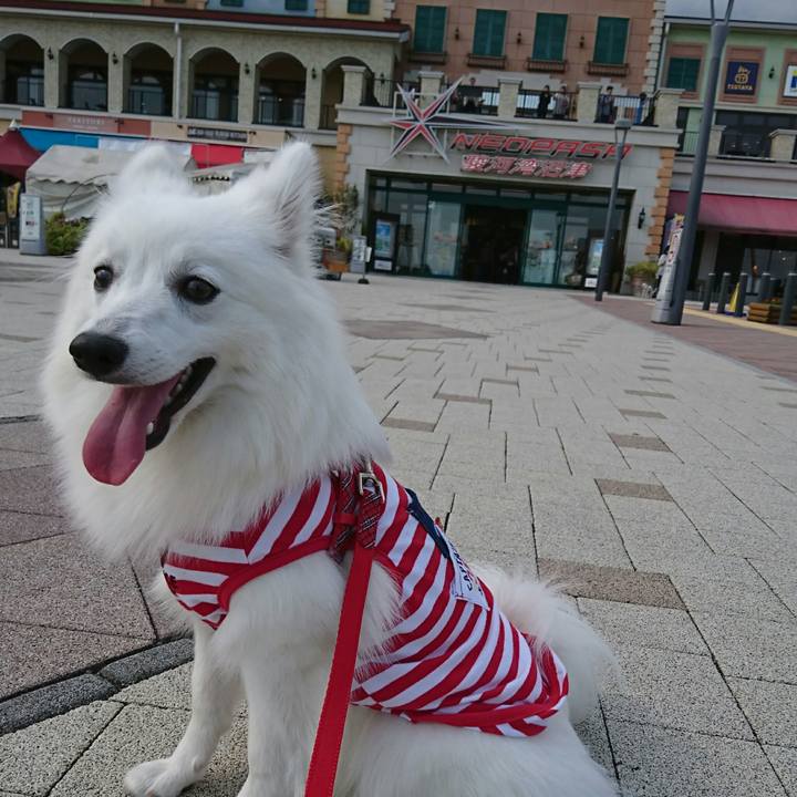 Fc938be1 0463 44a1 a8d3 43339ef6e0cc